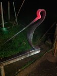 oiseau au chaud dans la nuit
